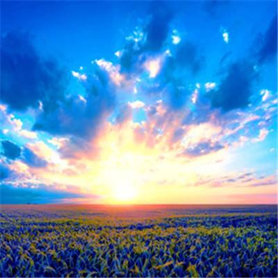 宝威体育手机app下载