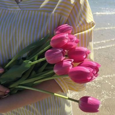 体育电竞押注网站大全